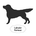 Labrador Retriever Vector isolated silhouette on white background